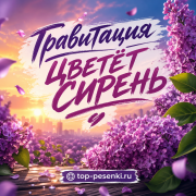 Гравитация - ЦВЕТЁТ СИРЕНЬ