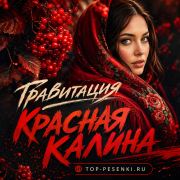 Гравитация - КРАСНАЯ КАЛИНА