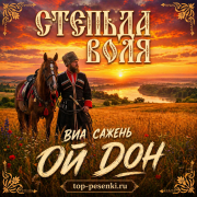 ВИА САЖЕНЬ - ОЙ ДОН