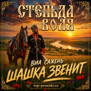 ВИА САЖЕНЬ - ШАШКА ЗВЕНИТ