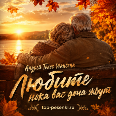 Андрей Голос Шансона - Любите, пока вас дома ждут