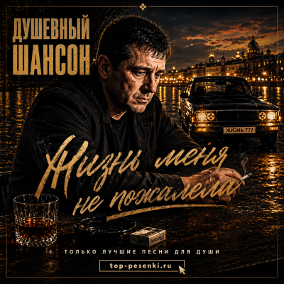 ДУШЕВНЫЙ ШАНСОН - Жизнь меня не пожалела