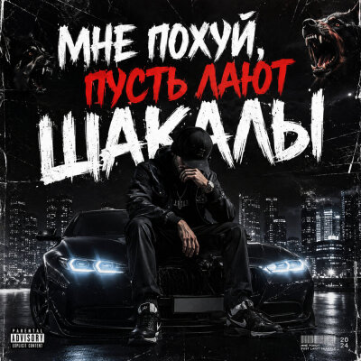 Ночной Сосед - Мне по*уй, пусть лают шакалы