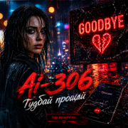 Ai-306 - Гудбай прощай