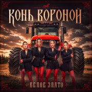 Белое Злато - Конь вороной