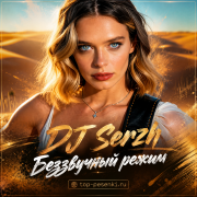 DJ Serzh - Беззвучный режим