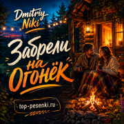 Dmitriy Niki - Забрели на огонёк