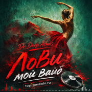 Dr Deep Atmos - Лови мой вайб
