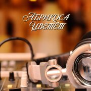 Гравитация - АБРИКОСА ЦВЕТЁТ