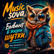 Music sova - Бывают в жизни шутки