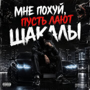 Ночной Сосед - Мне по*уй, пусть лают шакалы
