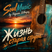 SoulMusic by Радион Шварц - Жизнь старая струна