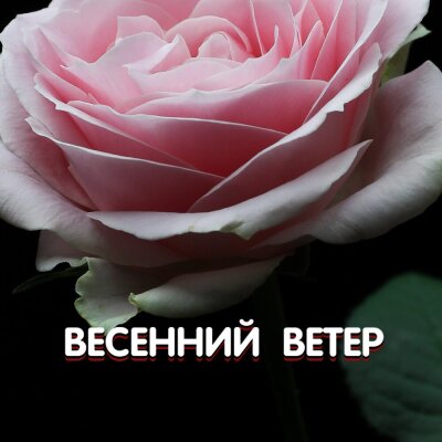 Гравитация - ВЕСЕННИЙ ВЕТЕР