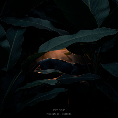 Jake Vails - Красивая , зараза
