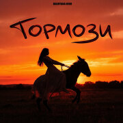 Bagryana Nebo - Тормози