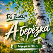 DJ BiakOff - А берёзка