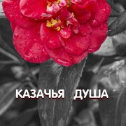 Гравитация - КАЗАЧЬЯ ДУША