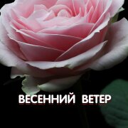 Гравитация - ВЕСЕННИЙ ВЕТЕР
