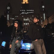 LIZA, XASSA - Мерин