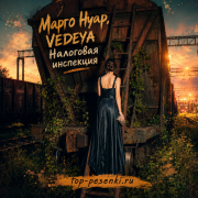 Марго Нуар, VEDEYA - Налоговая инспекция