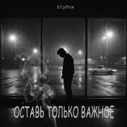 SlyFox - Оставь только важное