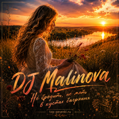 DJ Malinova - Не бродить, не мять в кустах багряных