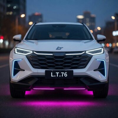 L.T.76 - У меня теперь китаец