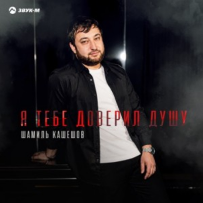 Шамиль Кашешов - Я тебе доверил душу