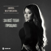 Амина Магомедова - За всё тебя прощаю