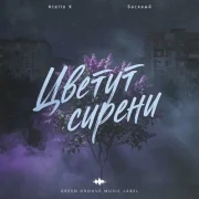 Atello X, Басявый - Цветут сирени
