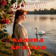 DJ BiakOff - Калина красная