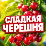 Гравитация - СЛАДКАЯ ЧЕРЕШНЯ