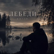 GUT1K - Лебеди