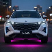 L.T.76 - У меня теперь китаец