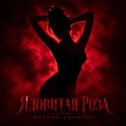 Ночной Маршрут - ЯДОВИТАЯ РОЗА
