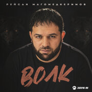 Рейсан Магомедкеримов - Волк