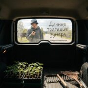 Сахарный Чемпиончик - Дачная трагедия зумера