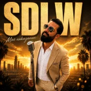 SDLW - Моё наказание