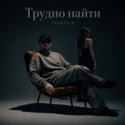 Sharygin - Трудно найти