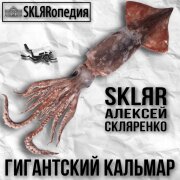 SKLЯRопедия, SKLЯR Алексей Скляренко - Гигантский кальмар