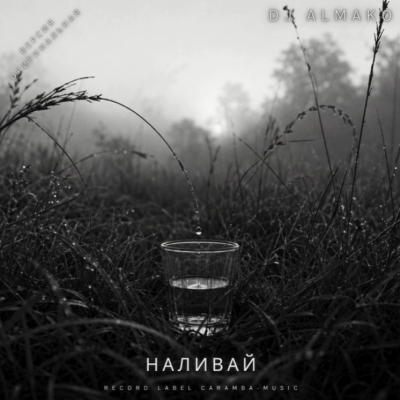 DJ ALMAKO - Наливай