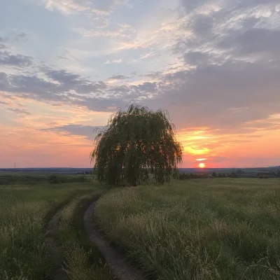 INSTASAMKA - Лишь раз