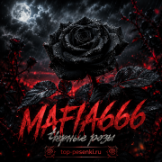 Mafia666 - Черные розы