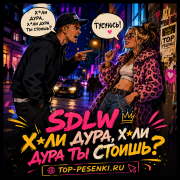 SDLW - Хули дура, хули дура ты стоишь?