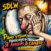 SDLW - Рано утром проснусь, я лицом в салате