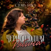 Семь Роз, Sevenrose - Черноплодная рябина