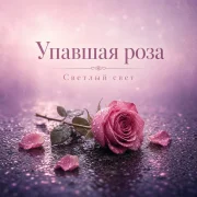 Светлый Свет - Упавшая роза