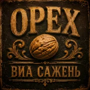 ВИА САЖЕНЬ - ОРЕХ