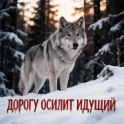 Вячеслав Сидоренко - Дорогу осилит идущий