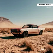 Zixxe - Broken Wings